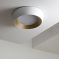 Load image into Gallery viewer, AFX Duncan Ceiling Light