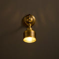 Load image into Gallery viewer, Addison Gooseneck Wall Lamp