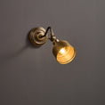 Load image into Gallery viewer, Addison Gooseneck Wall Lamp