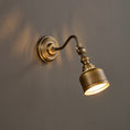 Load image into Gallery viewer, Addison Gooseneck Wall Lamp