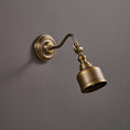 Load image into Gallery viewer, Addison Gooseneck Wall Lamp