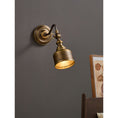 Load image into Gallery viewer, Addison Gooseneck Wall Lamp