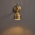 Load image into Gallery viewer, Addison Gooseneck Wall Lamp