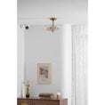 Charger l'image dans la visionneuse de la galerie, Alaina Glass Ceiling Lamp