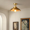 Load image into Gallery viewer, Aldorno Ceiling Lamp