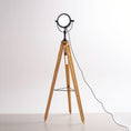 Load image into Gallery viewer, Alfred Tripod Floor Lamp
