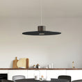 Load image into Gallery viewer, Andromeda Pendant Lamp