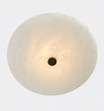 Bild in Galerie-Betrachter laden, Ankeny Alabaster Ceiling Lamp
