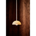 Load image into Gallery viewer, Aurelia Pendant Lamp