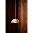 Load image into Gallery viewer, Aurelia Pendant Lamp
