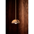 Load image into Gallery viewer, Aurelia Pendant Lamp