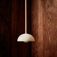 Load image into Gallery viewer, Aurelia Pendant Lamp