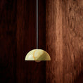 Load image into Gallery viewer, Aurelia Pendant Lamp