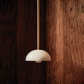 Load image into Gallery viewer, Aurelia Pendant Lamp