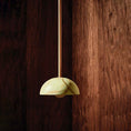 Load image into Gallery viewer, Aurelia Pendant Lamp
