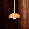 Load image into Gallery viewer, Aurelia Pendant Lamp