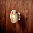 Load image into Gallery viewer, Aurelia Surface Sconce