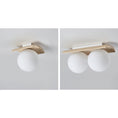 Load image into Gallery viewer, Bianca Globe Ceiling Lamp