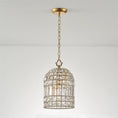 Load image into Gallery viewer, Blanca Crystal Pendant Lamp
