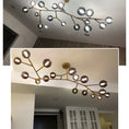 Load image into Gallery viewer, Branch Chandelier