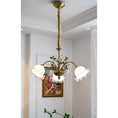 Charger l'image dans la visionneuse de la galerie, Brazell Chandelier