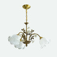 Charger l'image dans la visionneuse de la galerie, Brazell Chandelier