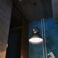 Load image into Gallery viewer, Brilliant Anouk Pendant Light