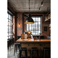 Load image into Gallery viewer, Brilliant Anouk Pendant Light