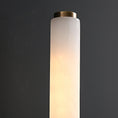 Load image into Gallery viewer, Brindisi Plug-in Wall Lamp