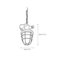 Load image into Gallery viewer, Bulkhead Cage Pendant Light