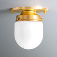 Bild in Galerie-Betrachter laden, Bullet-shaped Spherical Ceiling Lamp