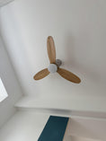 Charger l'image dans la visionneuse de la galerie, Calisse Ceiling Fan Light