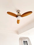 Charger l'image dans la visionneuse de la galerie, Calisse Ceiling Fan Light