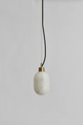 Load image into Gallery viewer, Capsa Pendant Lamp