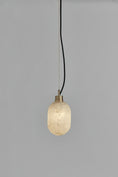 Load image into Gallery viewer, Capsa Pendant Lamp