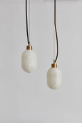 Load image into Gallery viewer, Capsa Pendant Lamp