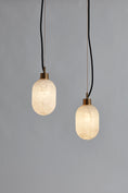 Load image into Gallery viewer, Capsa Pendant Lamp