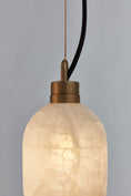 Load image into Gallery viewer, Capsa Pendant Lamp