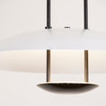 Load image into Gallery viewer, Cara Pendant Lamp