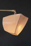 Charger l'image dans la visionneuse de la galerie, Branching Mobile Chandelier