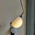 Load image into Gallery viewer, Chic Luminance Pendant Light