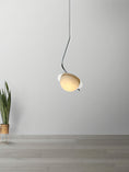 Load image into Gallery viewer, Chic Luminance Pendant Light