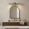 Load image into Gallery viewer, Halophane Brass Wall Lamp
