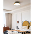 Load image into Gallery viewer, Color Stack Ceiling Lamp