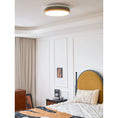 Load image into Gallery viewer, Color Stack Ceiling Lamp
