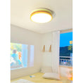 Load image into Gallery viewer, Color Stack Ceiling Lamp