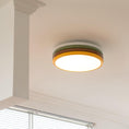 Load image into Gallery viewer, Color Stack Ceiling Lamp