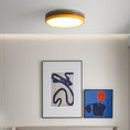 Load image into Gallery viewer, Color Stack Ceiling Lamp