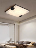 Load image into Gallery viewer, Covet Flush Mount Ceiling Light