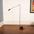 Load image into Gallery viewer, Daphine Floor Lamp